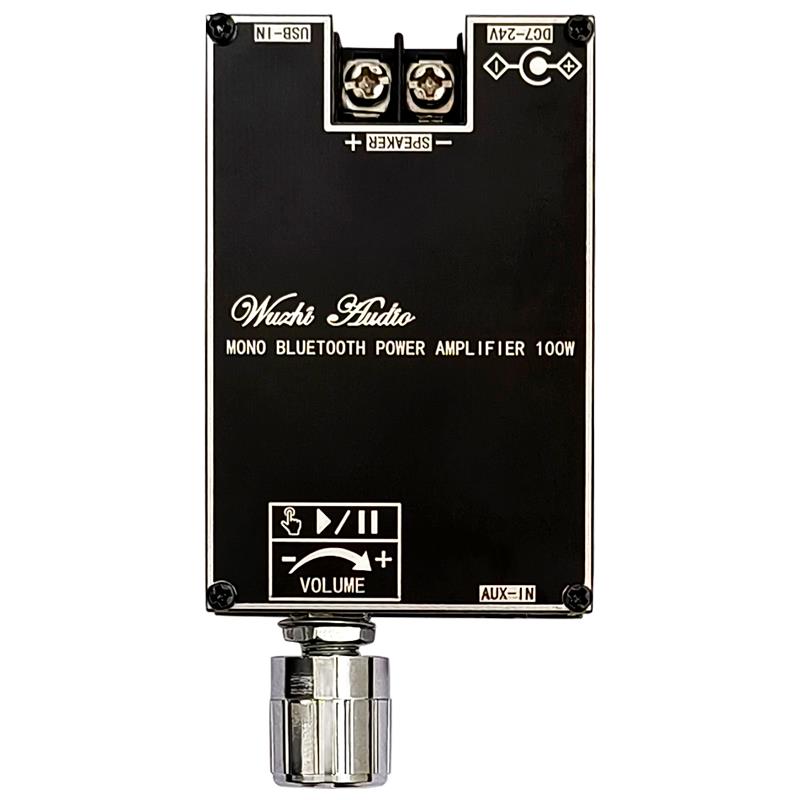 Home Cinema Hall - Bluetooth 5.1 TPA3116 D2 Mono 100W