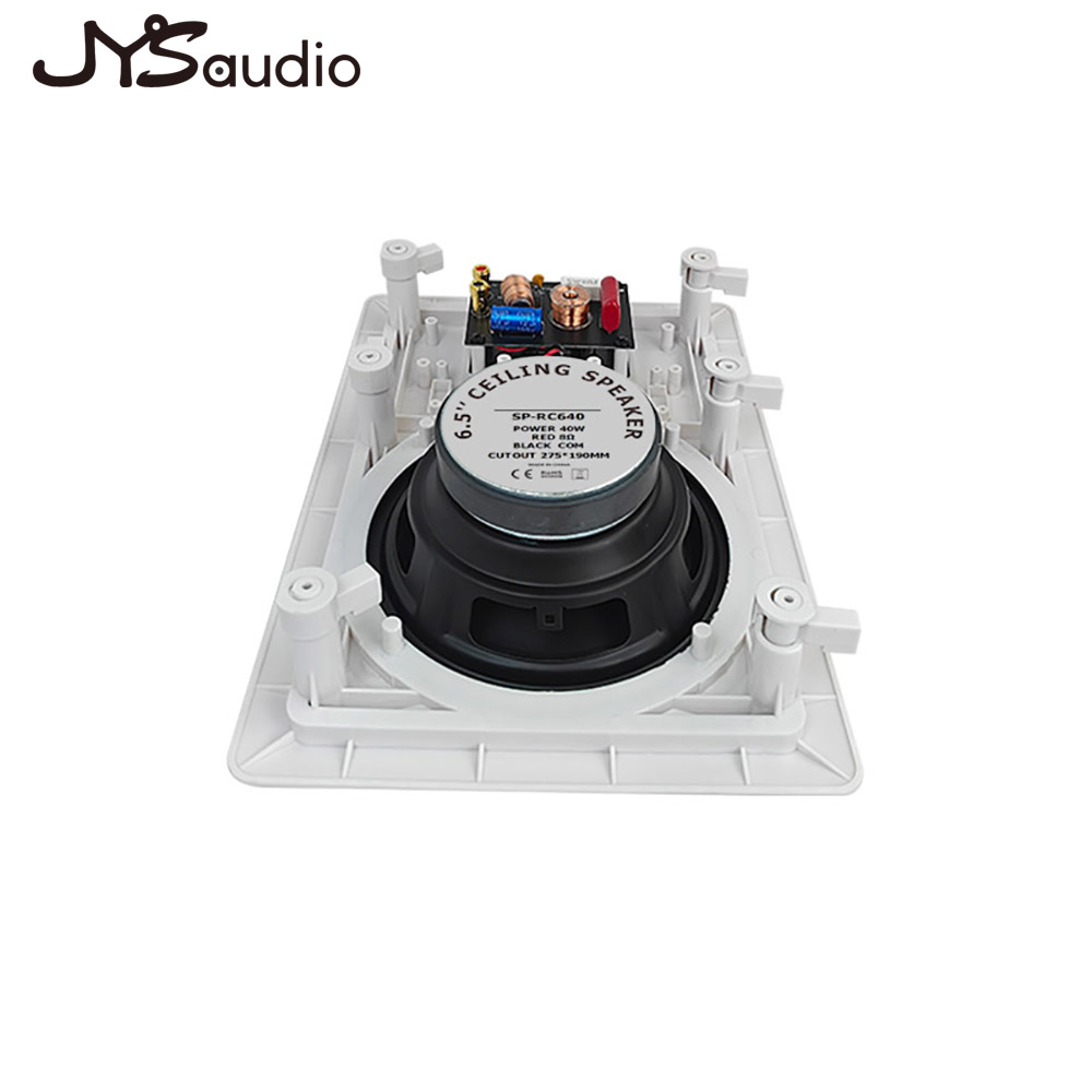 In-wall Speaker Two-way Loudsp - đánh giá và giá Home Cinema Wall