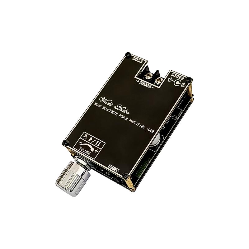 Bluetooth 5.1 TPA3116 D2 Mono  - đánh giá và giá Home Cinema Hall